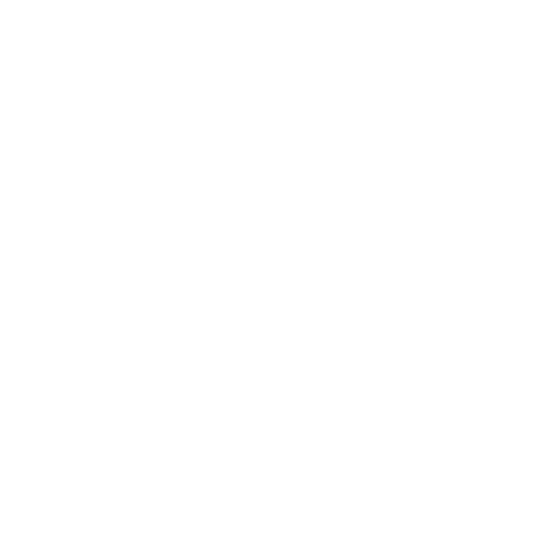 CA Cyber Acoustics Logo