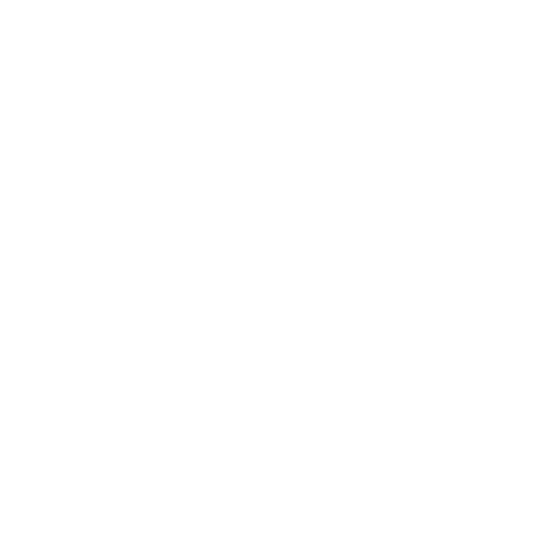 CA Cyber Acoustics Logo