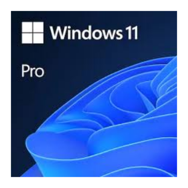 WINDOWS 11 PRO MICROSOFT:Windows