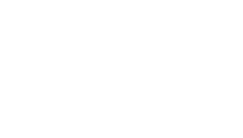 CA Cyber Acoustics